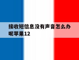 接收短信息没有声音怎么办呢苹果12