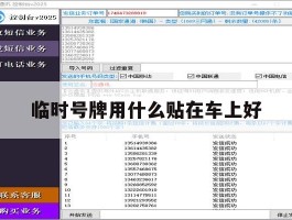 临时号牌用什么贴在车上好