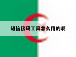 短信接码工具怎么用的啊