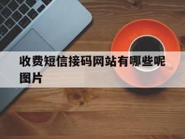 收费短信接码网站有哪些呢图片