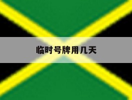 临时号牌用几天