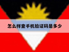 怎么样查手机验证码是多少