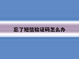 忘了短信验证码怎么办