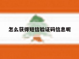 怎么获得短信验证码信息呢