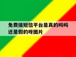 包含免费接短信平台是真的吗吗还是假的呀图片的词条
