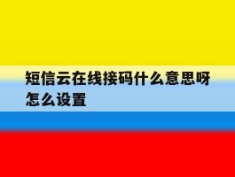 短信云在线接码什么意思呀怎么设置