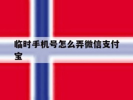 临时手机号怎么弄微信支付宝