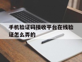 手机验证码接收平台在线验证怎么弄的