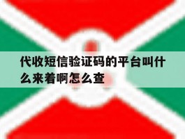 代收短信验证码的平台叫什么来着啊怎么查