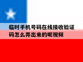 临时手机号码在线接收验证码怎么弄出来的呢视频的简单介绍