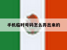 手机临时号码怎么弄出来的