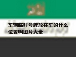 车辆临时号牌放在车的什么位置啊图片大全的简单介绍
