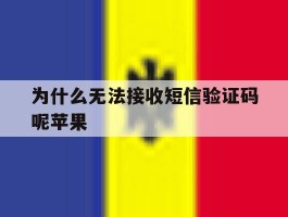 为什么无法接收短信验证码呢苹果