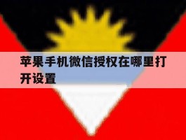 苹果手机微信授权在哪里打开设置
