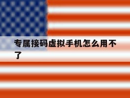 专属接码虚拟手机怎么用不了