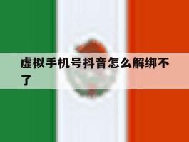 虚拟手机号抖音怎么解绑不了