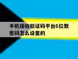 手机接收验证码平台6位数密码怎么设置的