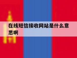 在线短信接收网站是什么意思啊