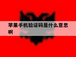 苹果手机验证码是什么意思啊