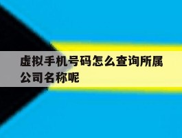 虚拟手机号码怎么查询所属公司名称呢