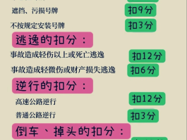 临时号牌就是以后的车牌号吗为什么不能用