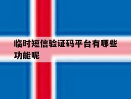 临时短信验证码平台有哪些功能呢