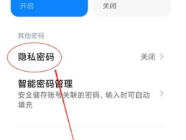 oppo手机验证码自动填充怎么设置不了密码