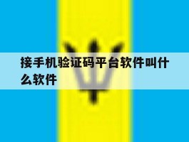 接手机验证码平台软件叫什么软件
