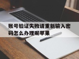 账号验证失败请重新输入密码怎么办理呢苹果
