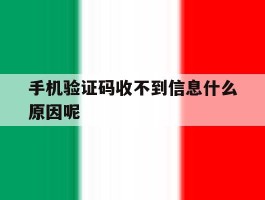 手机验证码收不到信息什么原因呢
