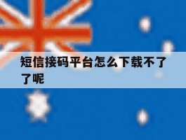 短信接码平台怎么下载不了了呢