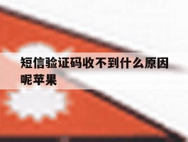 短信验证码收不到什么原因呢苹果