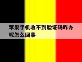 苹果手机收不到验证码咋办呢怎么回事