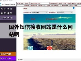 国外短信接收网站是什么网站啊