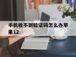 手机收不到验证码怎么办苹果12