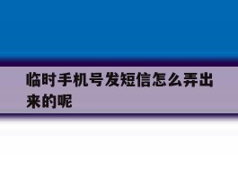临时手机号发短信怎么弄出来的呢