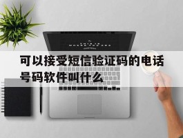 可以接受短信验证码的电话号码软件叫什么