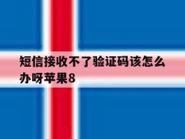 短信接收不了验证码该怎么办呀苹果8