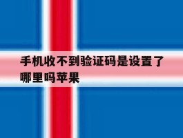 手机收不到验证码是设置了哪里吗苹果
