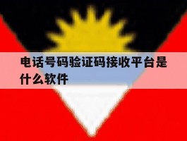 电话号码验证码接收平台是什么软件