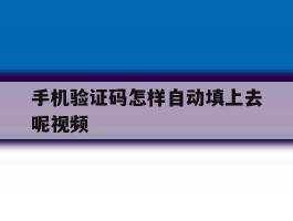 手机验证码怎样自动填上去呢视频