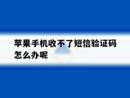苹果手机收不了短信验证码怎么办呢