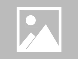 接码平台美国电话号码查询系统怎么查询