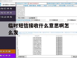 临时短信接收什么意思啊怎么发