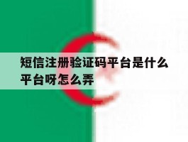 短信注册验证码平台是什么平台呀怎么弄