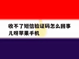 收不了短信验证码怎么回事儿呀苹果手机