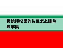 微信授权里的头像怎么删除啊苹果