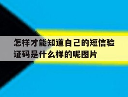 包含怎样才能知道自己的短信验证码是什么样的呢图片的词条