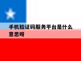 手机验证码服务平台是什么意思呀