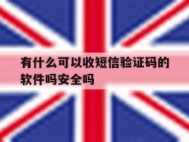 包含有什么可以收短信验证码的软件吗安全吗的词条